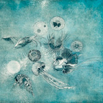 Eau-forte - plancton — Nolwenn Guillou